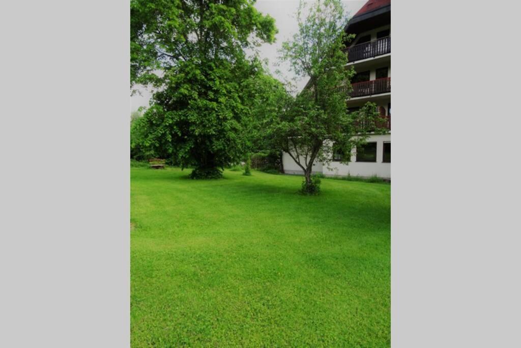 Modernes Apartment Mit Traumhaftem Blick Ins Gruene Bräunlingen Exteriör bild